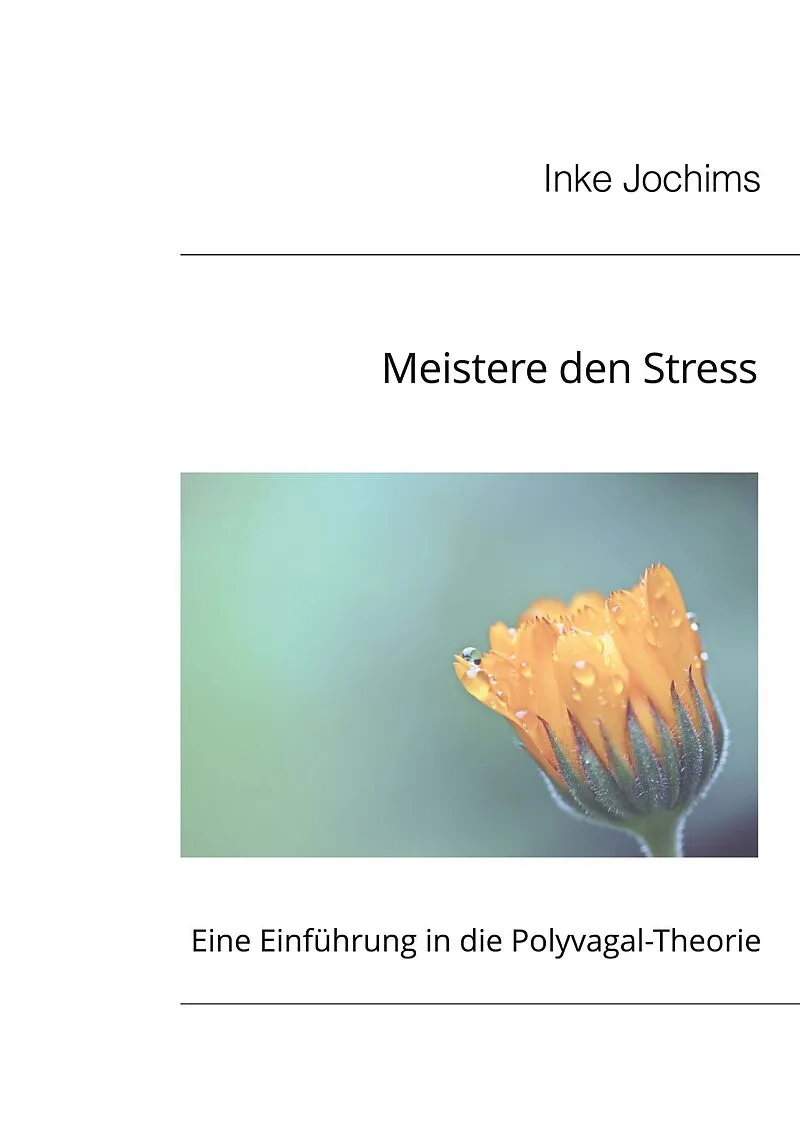 Buchcover: Meistere den Stress von Inke Jochims
