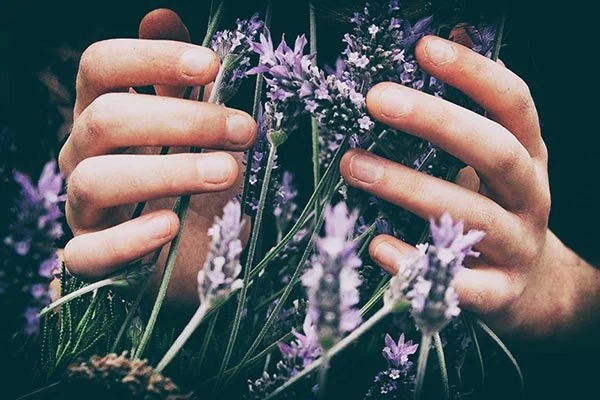 Vaginales Mikrobiom testen, Scheidenflora und ätherische Öle
